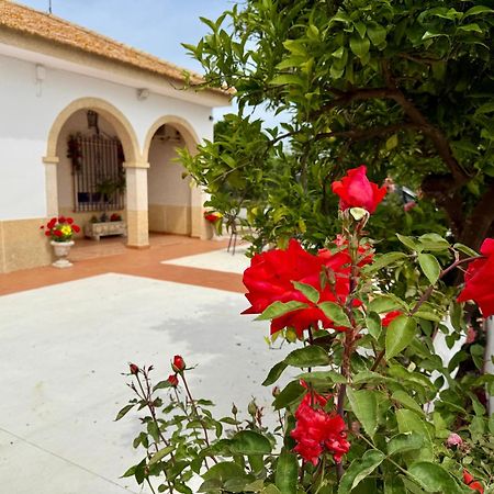 La Casa Del Flamenco Villa Cañada del Rabadán Kültér fotó