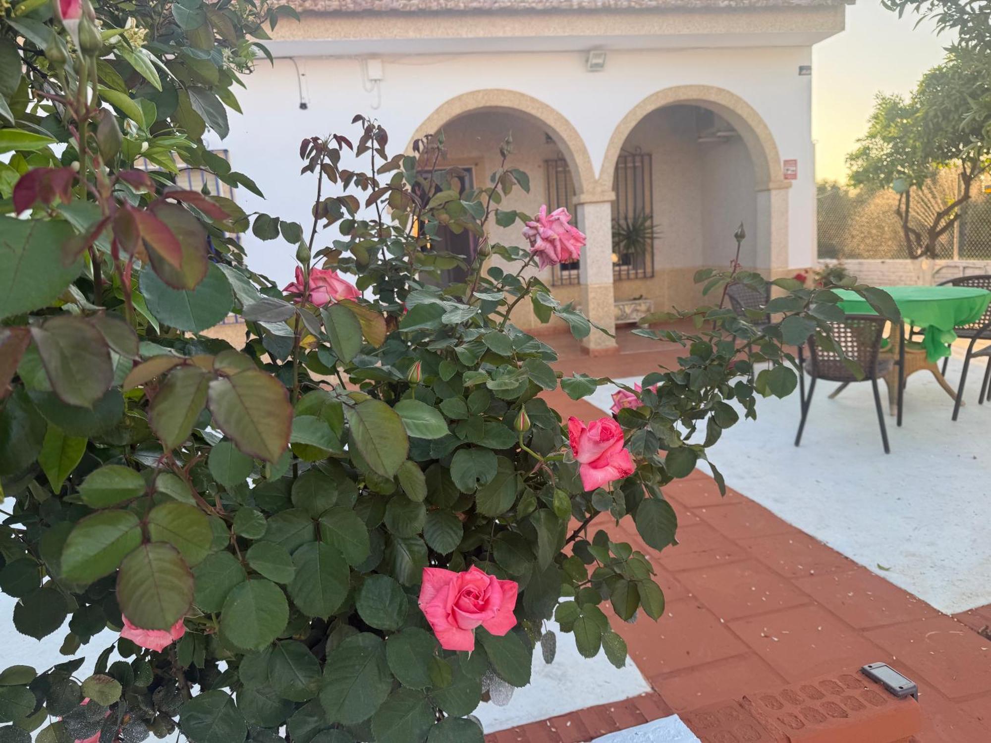 La Casa Del Flamenco Villa Cañada del Rabadán Kültér fotó