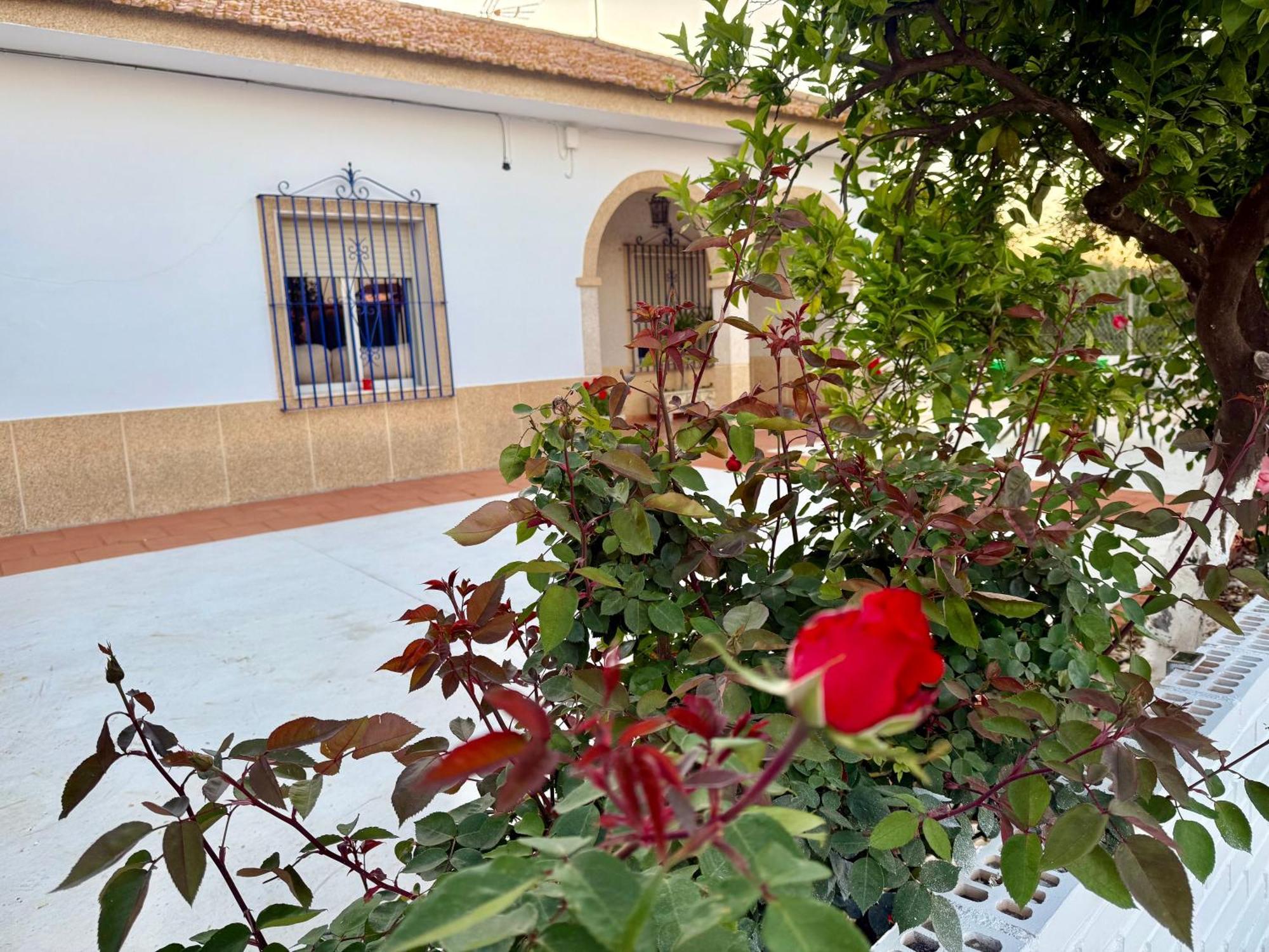 La Casa Del Flamenco Villa Cañada del Rabadán Kültér fotó